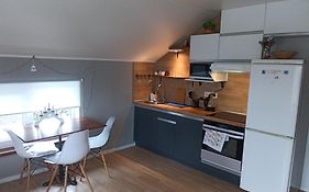 Квартира з чердаком 2